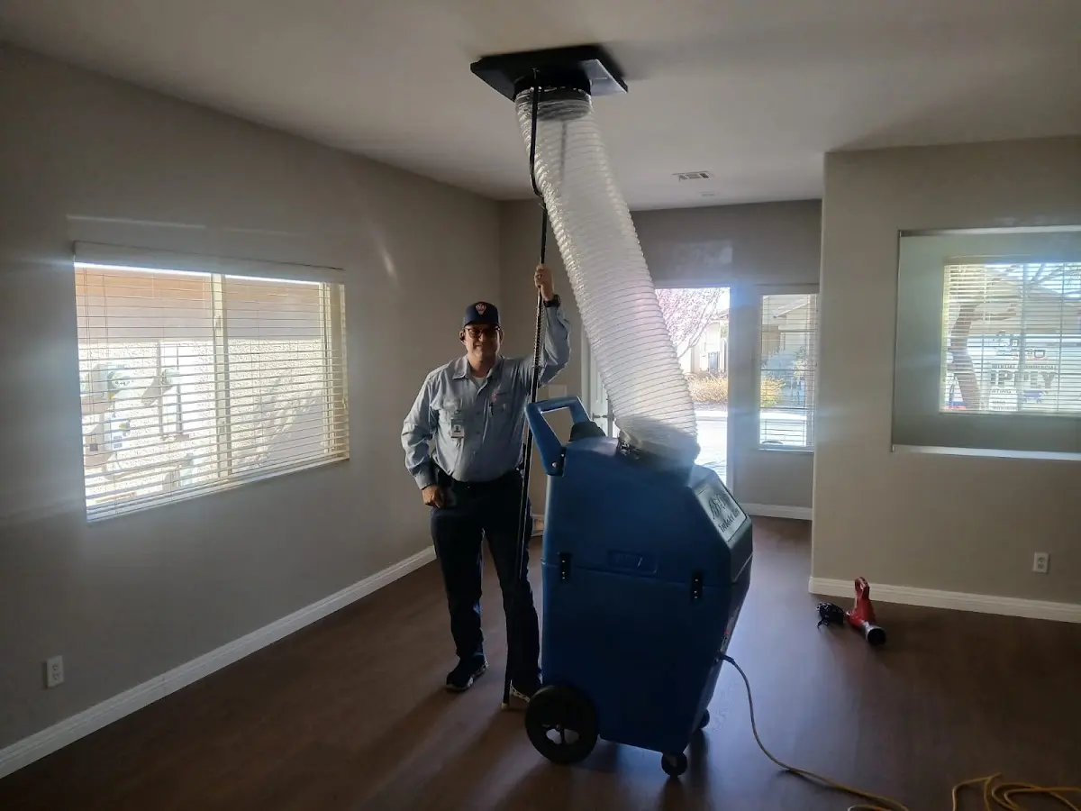 Professional Dryer Vent Cleaning work inside a Sidney home
